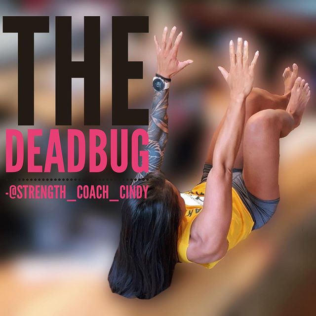 The primary goal of the dead bug is to strengthen the core and improve anterior core stability all while minimizing pressure on the low back. This movement is also a great drill for realizing and correcting excessive anterior pelvic tilt. Performing this exercise on the floor not only provides stability, but feedback that you can take with you into other core movements. Its a staple movement in my coaching while I continuously incorporate variations of this and eventually move them more towards gymnastic core movements down the line. Once you nail the basic dead bug there are a GAZILLION variations on making it extra spicy! . . . Here’s how to do it: . Lay on the ground with your legs at 90 degrees and using your arms to reach up toward the ceiling. For those having a hard time compressing then I lower their hands and cue toward the heel instead. . . Press your low back into the ground. If you have trouble understanding what this means or feel like you can use a band for tactile feedback. Put the band under your low back and if it escapes from you thrn you know you arent pressing down enough as there shouldnt be any space between the floor and your back if done correctly—the most important piece. . . . Reach away from the floor with your hands creating compression and tension in your core and upper body. I like starting people off with their head and shoulders off the floor. If its too much straining on their neck then head on the floor. . . . While maintaining lowback to ground contact and pelvis to ribcage compression, lower a single leg in control and come back to your starting position. Shoot for a sets of 10 per leg starting. . . .