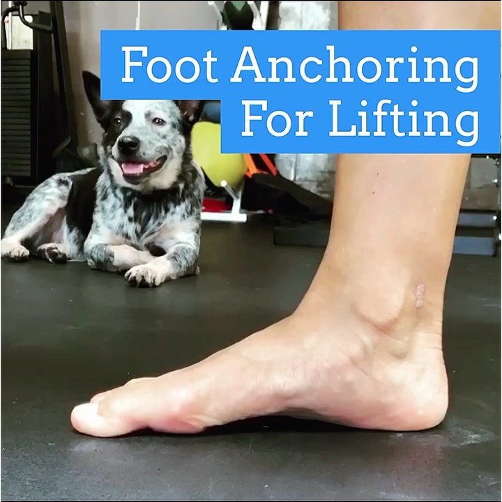 FOOT ANCHORING: THE FOOT TRIPOD
.
.
Anchoring/gripping your feet to the ground is often overlooked especially when seeing hip, knee,and ankle issues as problems can lie in the feet itself. Your feet is the start and foundation of everything. A stable foot helps build a stable ankle. A stable ankle helps build a stable knee. A stable knee helps build a stable hip. It builds on top of each other. Which is why I go over feet a lot with my clients even though it can be boring. Learning how to anchor your feet to build tension will help make all the exercises you do a million times stable which translates to a stronger position. A stronger position means the more you can load over time. Which who doesnt want to lift a fuck ton of more weight? If you dont youre following the wrong account. .
.
.
“Grabbing your toes” to the floor especially the big toe will create tension throughout the entire leg which will assist in proper tracking of ankle, knee, and hip. The more your body can work together as one unit the stronger you are the the more forceful/powerful you can be.
.
——————————————-
 Follow:  IG @strength_coach_Cindy
️ Download Free Macro Calculator for Lifters : Link in Bio
 Apply for 1-on-1 Online Coaching: Link in Bio
——————————————-
.
.