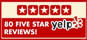 Cindy Lee Training Oakland Yelp Reviews